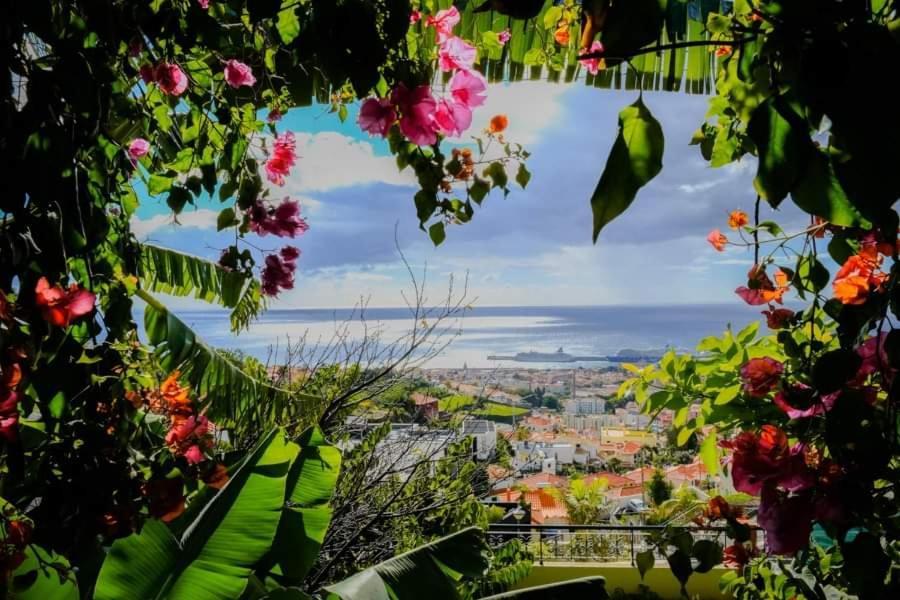 הוילה פונשל Granny'S House View מראה חיצוני תמונה